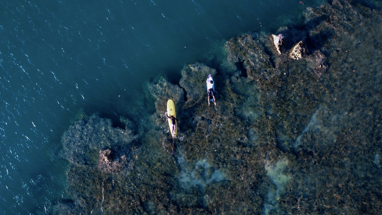 Aerial drone view over the reef with Selina at Ala Moana